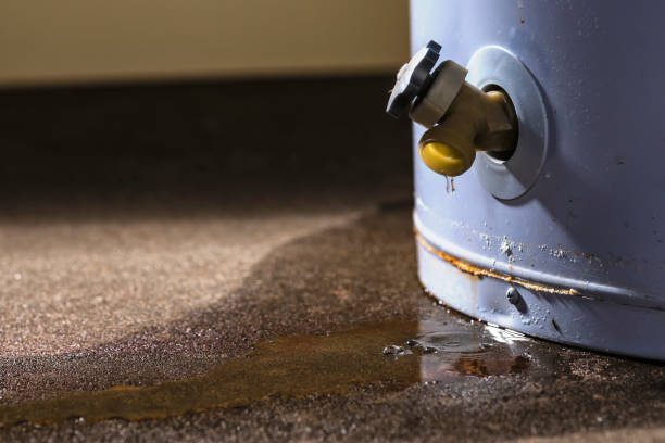 Best Water damage cleanup near me  in Montpelier, ID