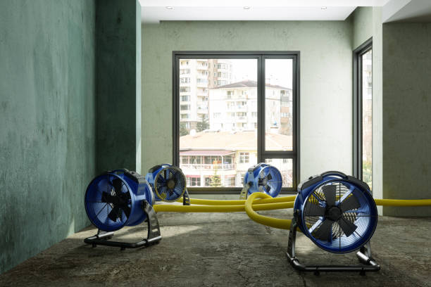 Best Residential water damage restoration  in Montpelier, ID